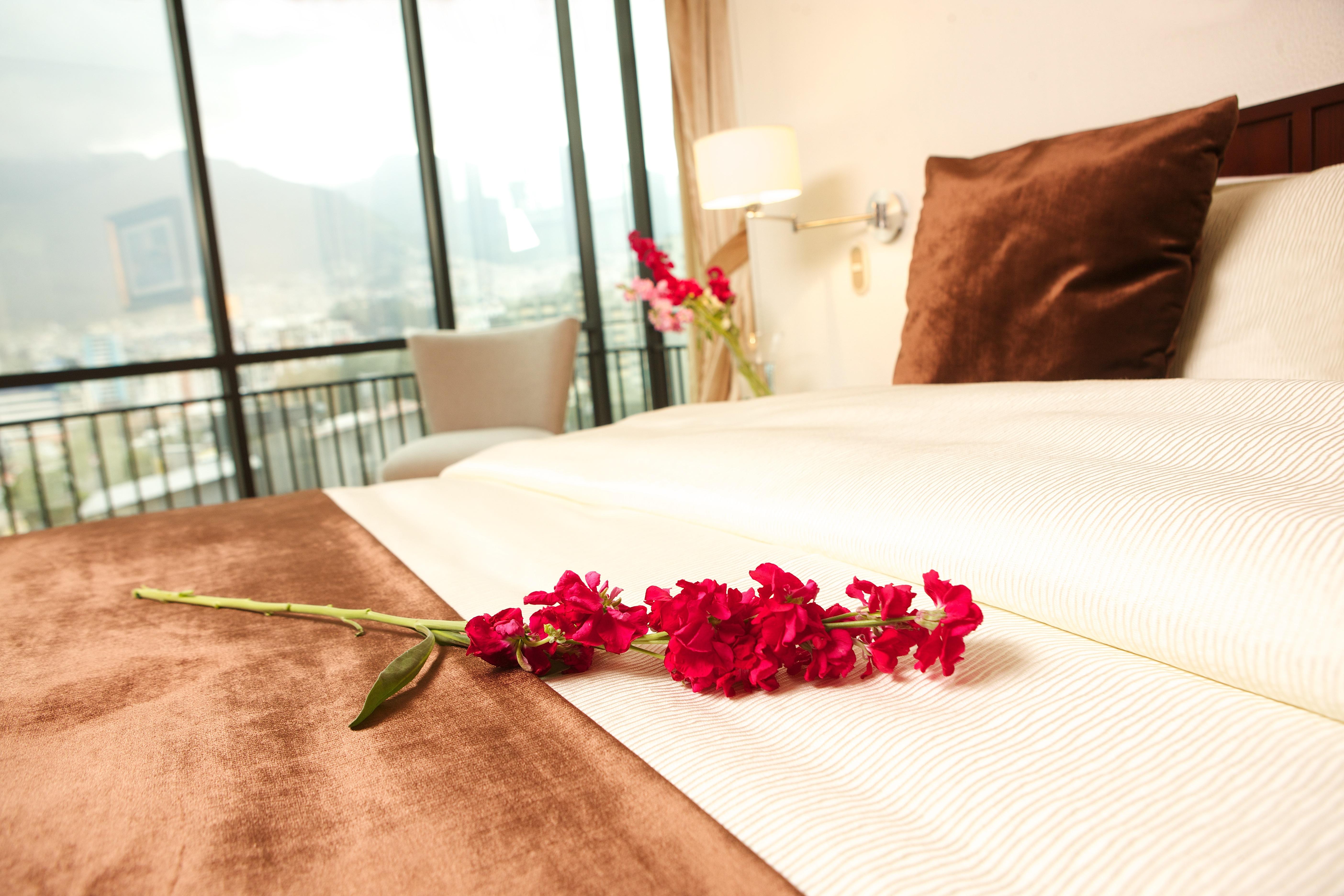 קיטו Hotel Rio Amazonas מראה חיצוני תמונה